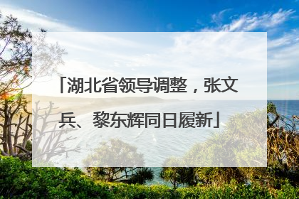 湖北省领导调整，张文兵、黎东辉同日履新
